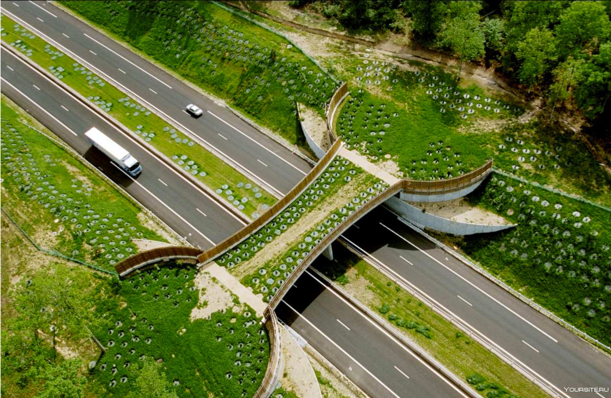 Работа дороги и мосты. Экодук в Сингапуре. Экодук Нидерланды. Экодук в Германии. Экодук проекты.