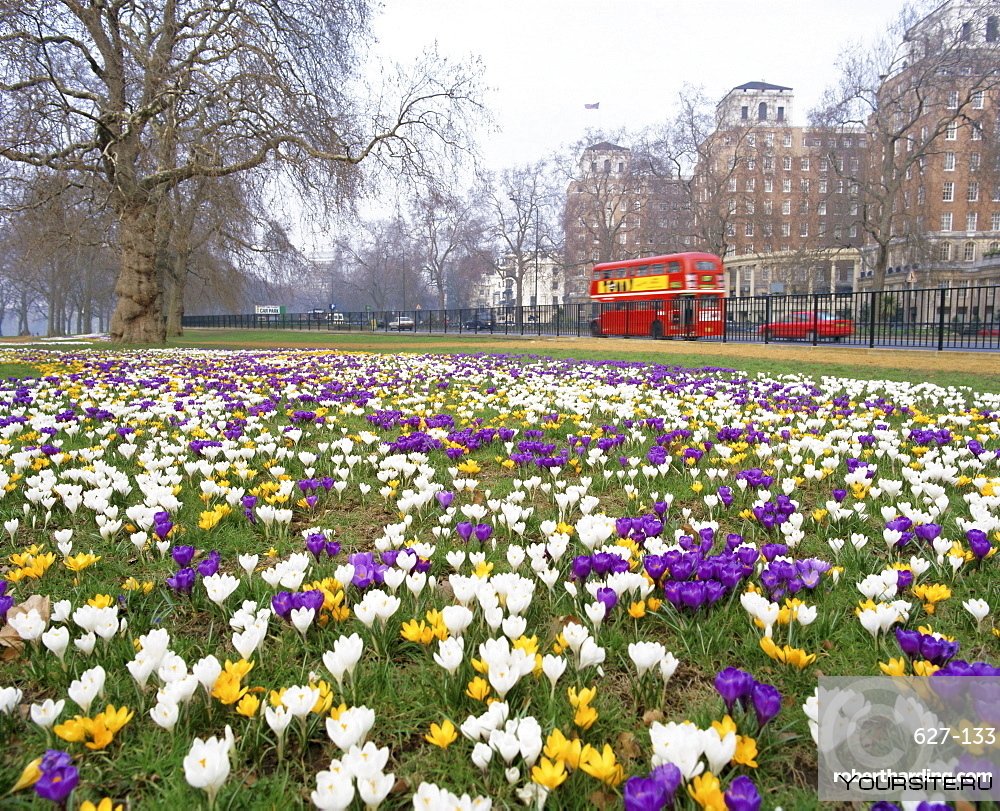 Парк в Лондоне весной