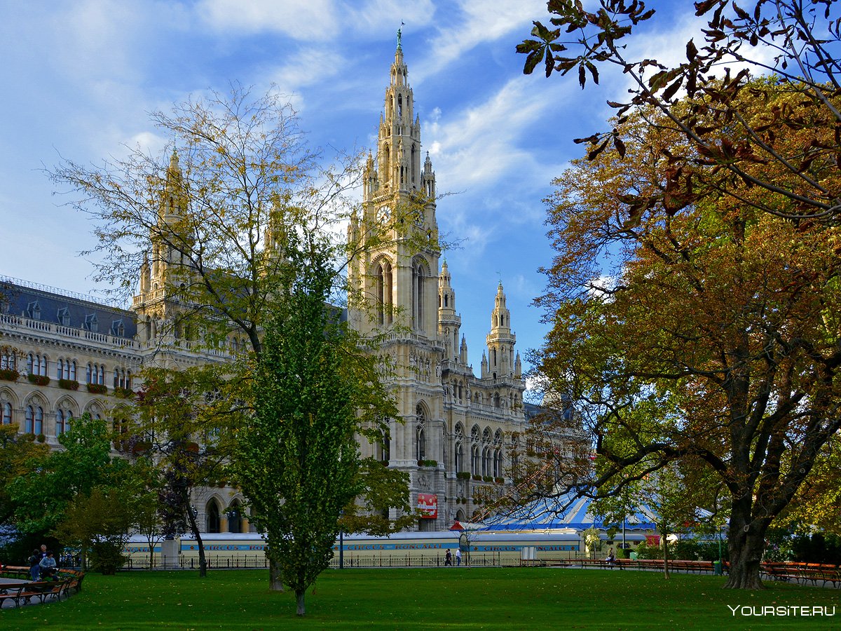 Венская ратуша осенью