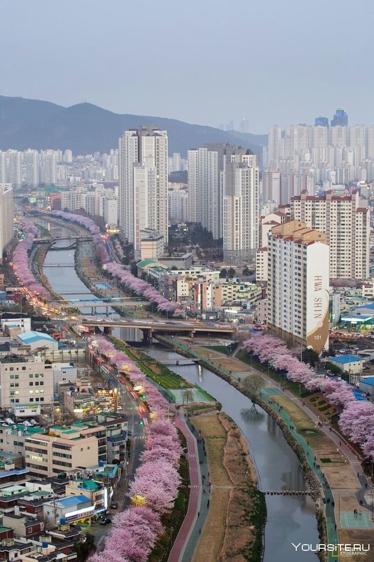Южная Корея Эстетика Пусан