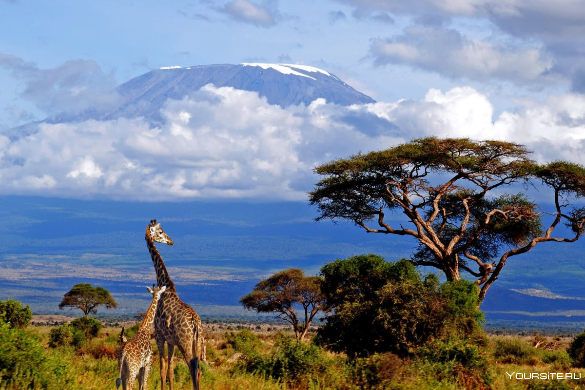 Танзания гора Килиманджаро