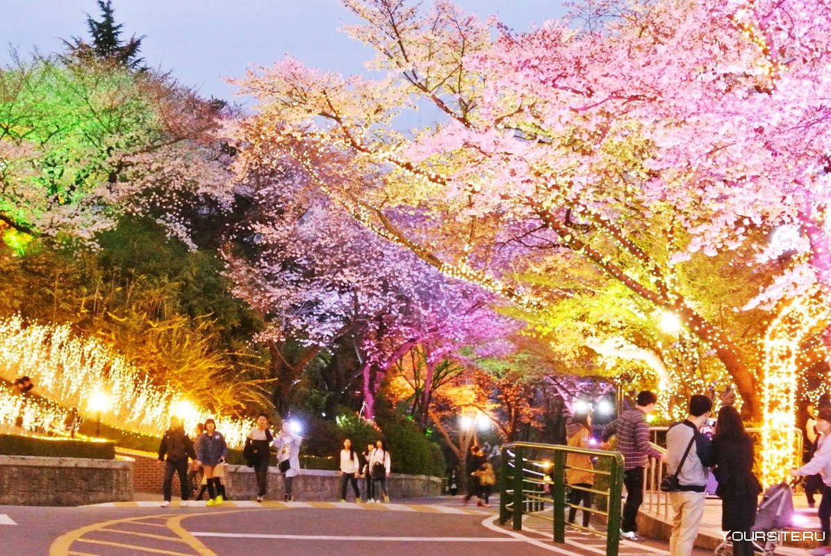Парк Корея Сеул