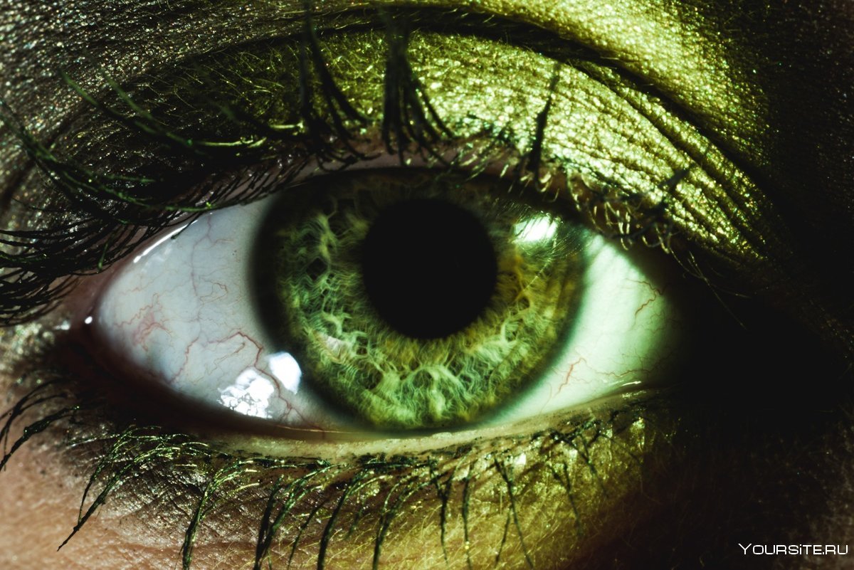 Яркие зеленые глаза