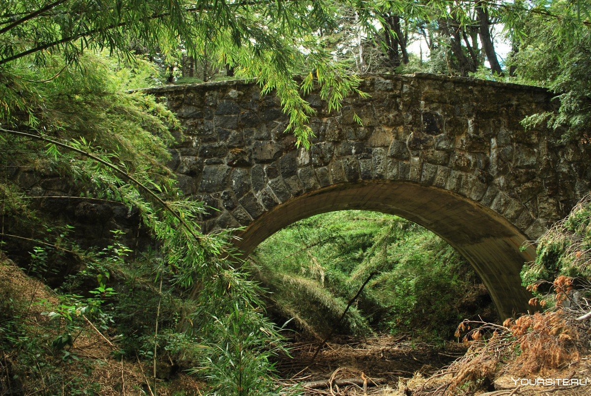 Каменный мост в джунглях