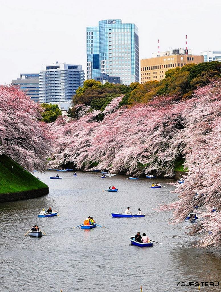 Красивые места в японии фото