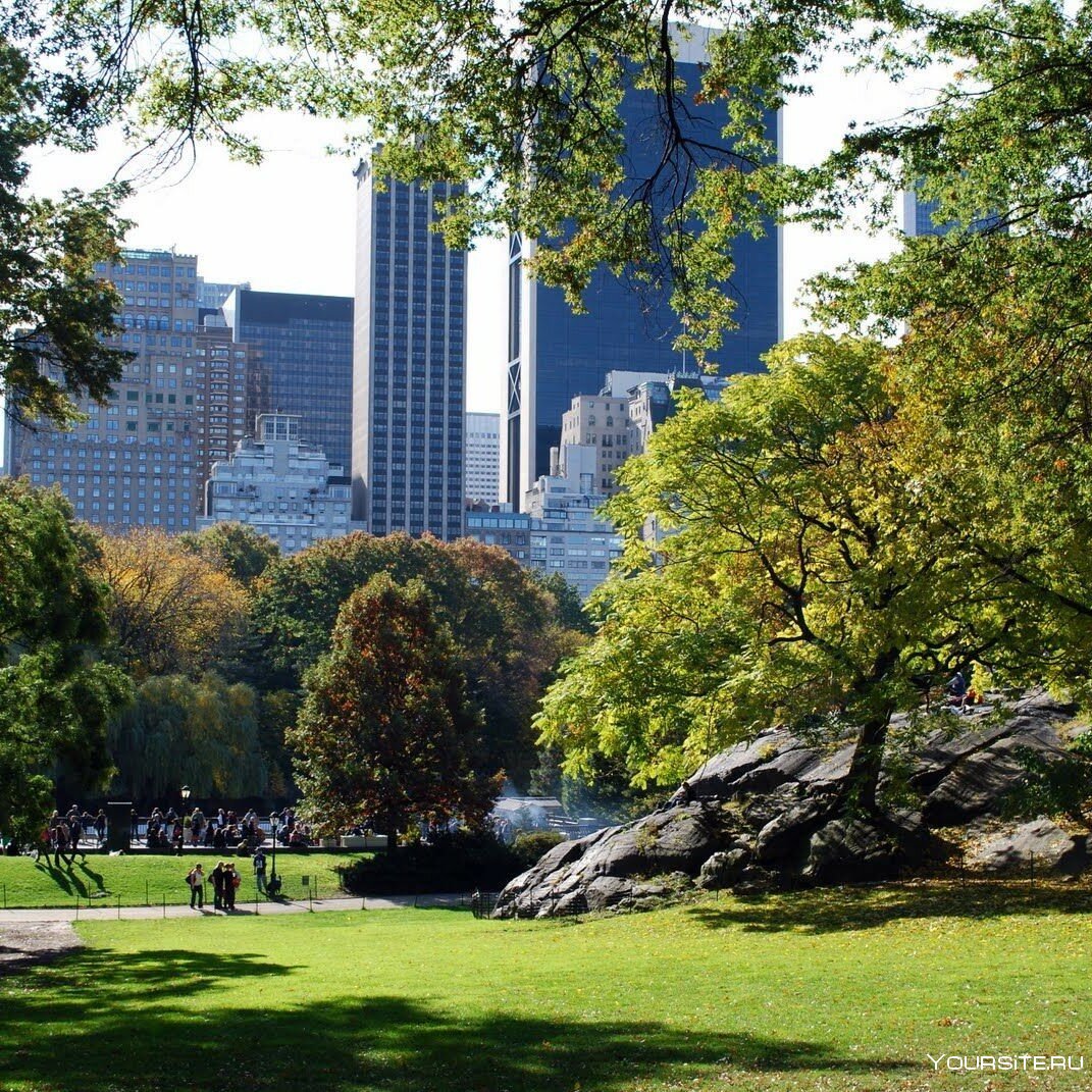 Центральный парк в Нью-Йорке панорама
