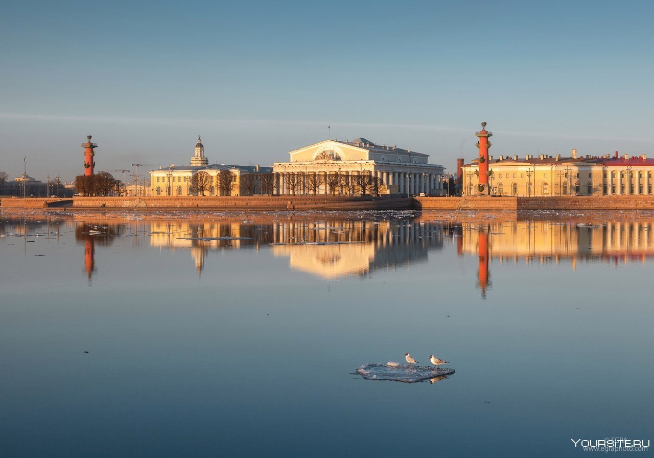 Стрелка Васильевского острова в Санкт-Петербурге фото