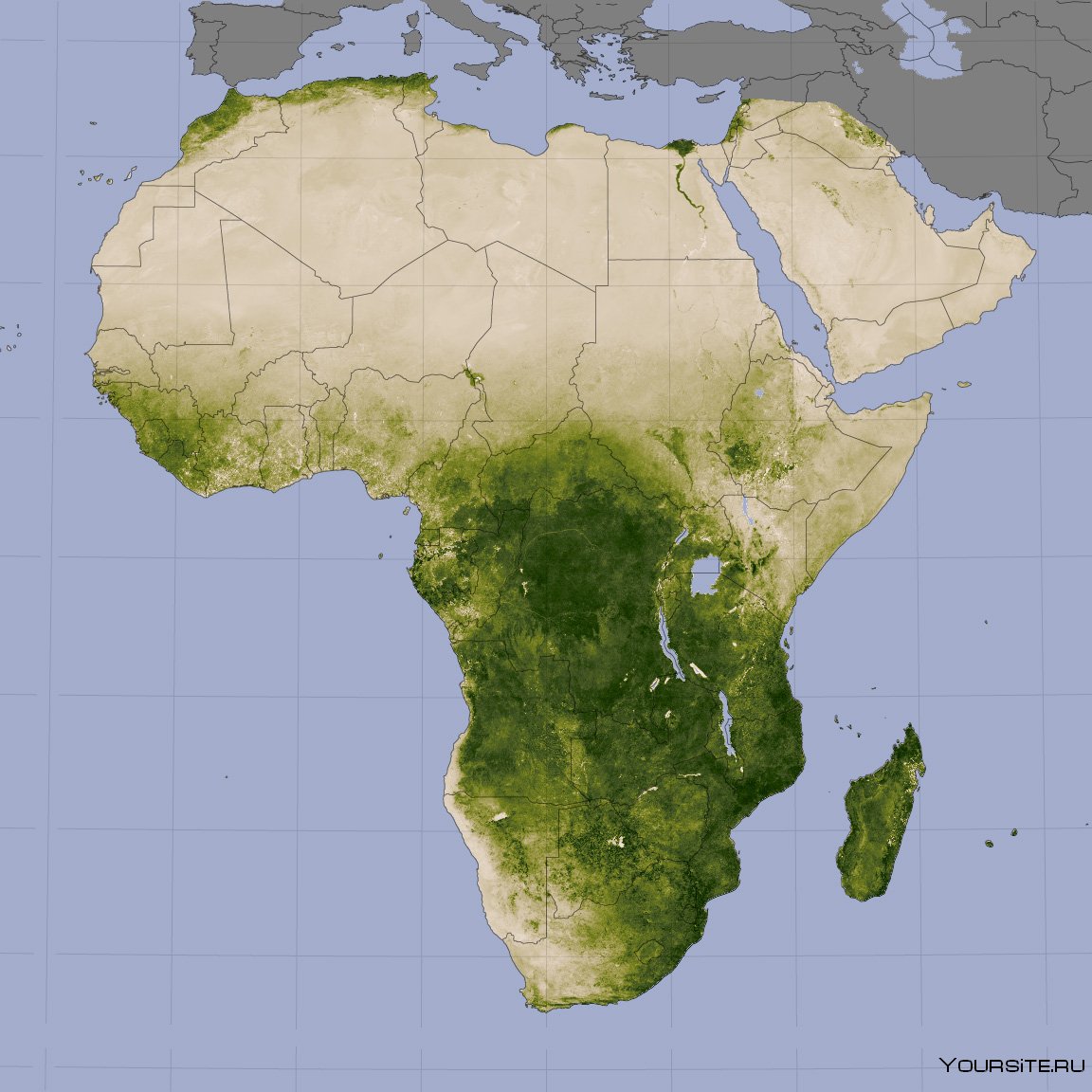 Экваториальные леса Африки на карте