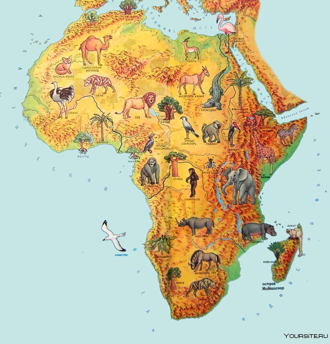 Рисунок материка 2 класс окружающий мир африка фото