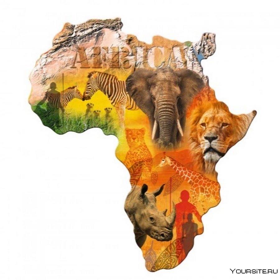 Африка материк на белом фоне