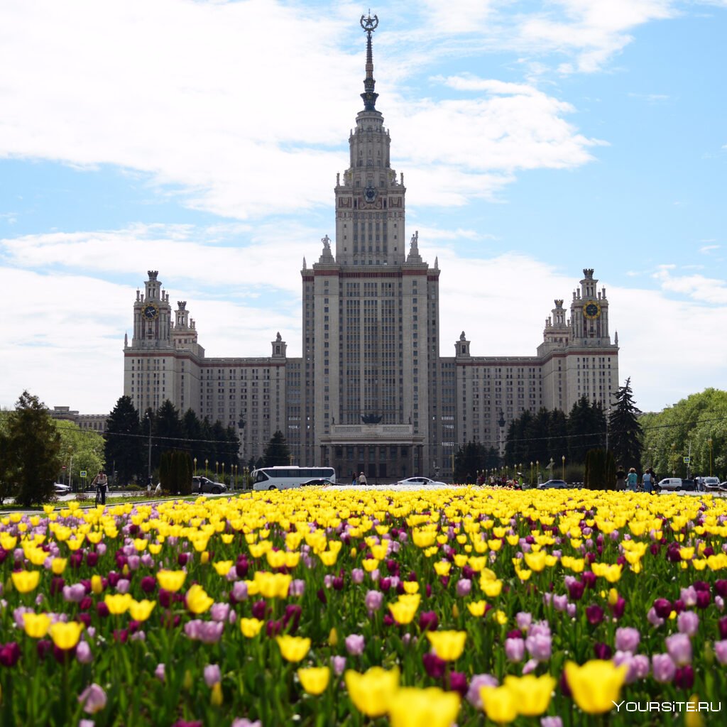 Ботанический сад МГУ Москва