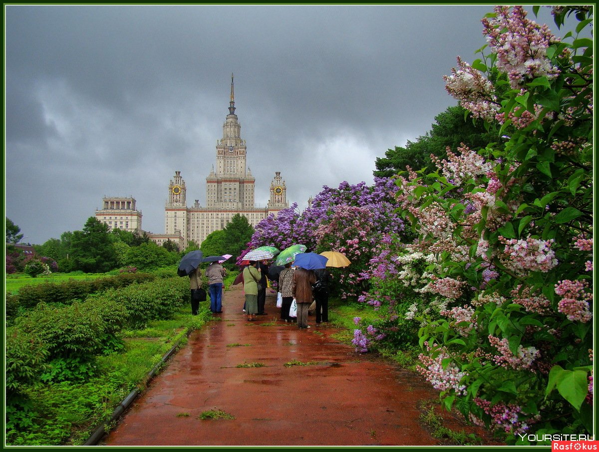 Сиреневый сад МГУ В Москве