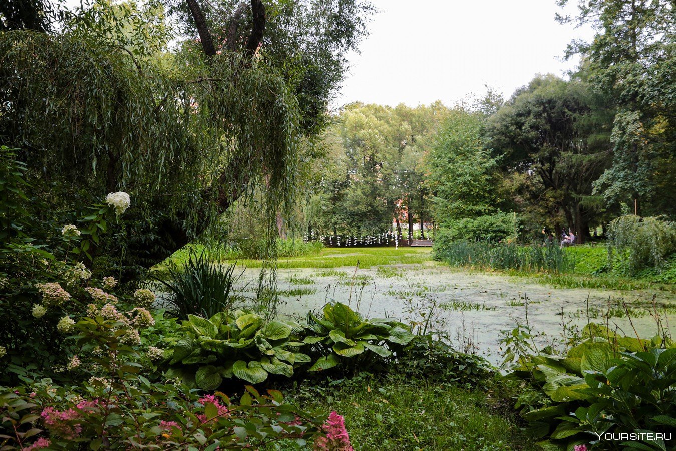 Ботанический сад мгу москва видео