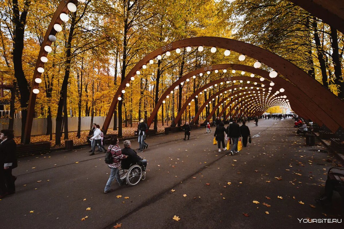 Парк Сокольники Москва