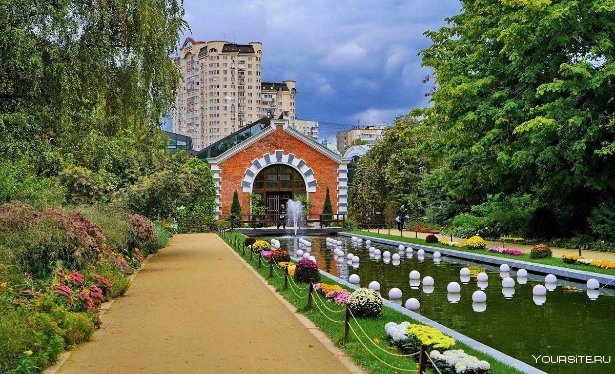 Ботанический сад МГУ проспект мира