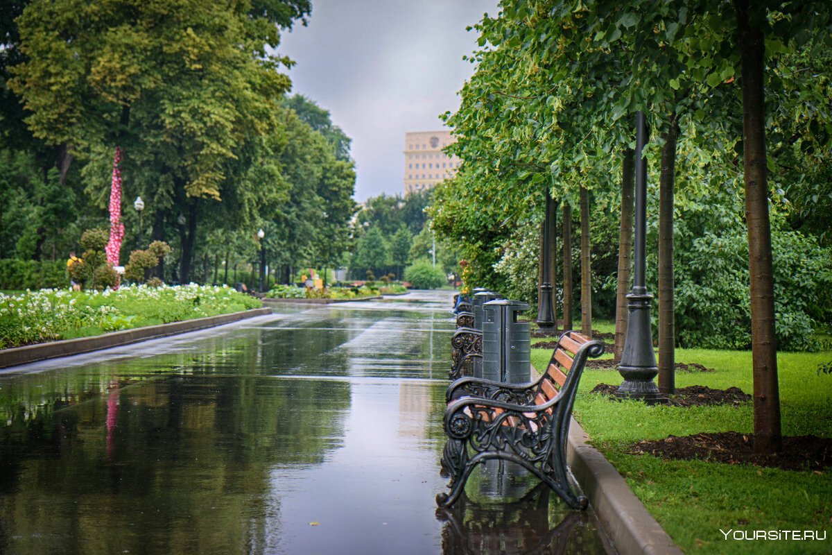 Парк Горького дождь в Москве