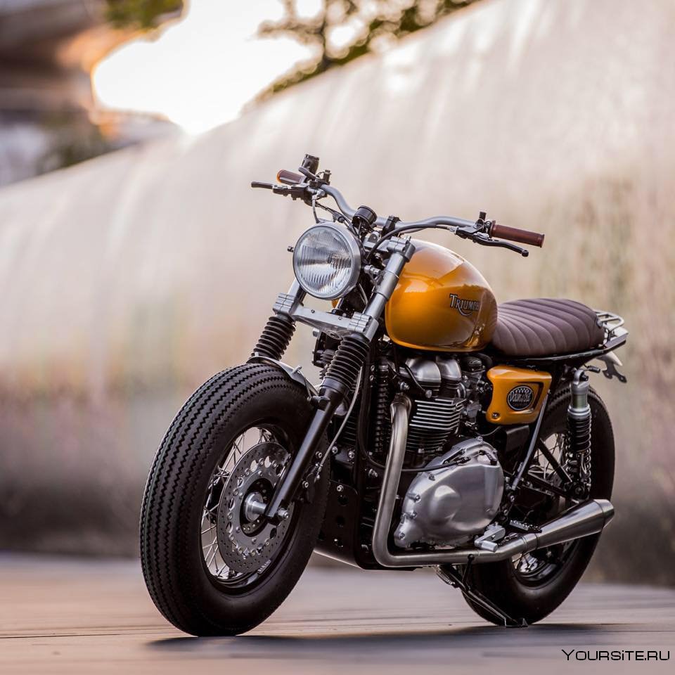 Triumph Thruxton Custom