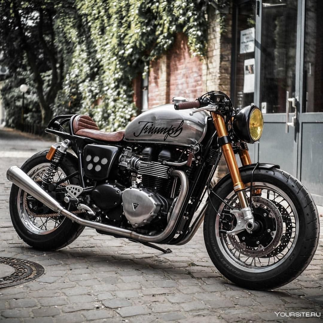 Triumph Thruxton 900 Custom