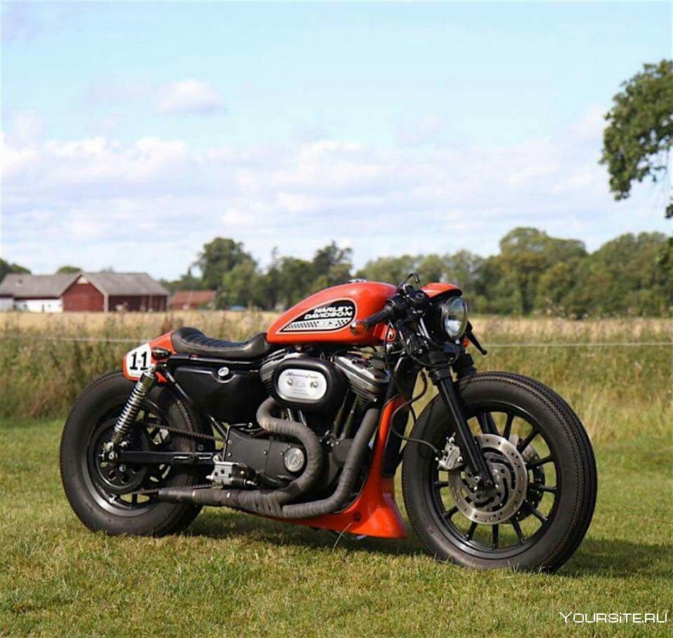 Harley Davidson Sportster Roadster