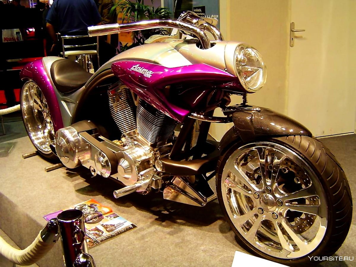 Кастом мотоциклы 2005