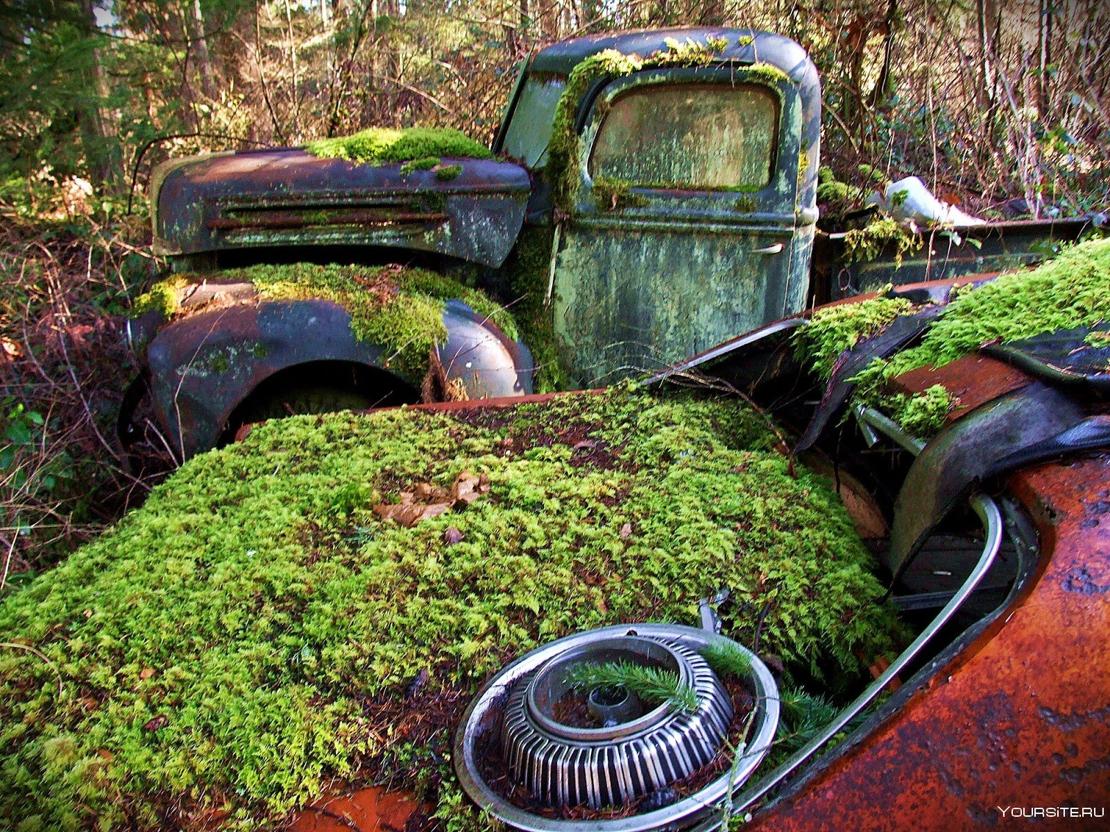 Брошенный мир машина. Заброшенные авто. Старые заброшенные автомобили. Брошенные машины в лесу. Заброшенные машины в лесу.