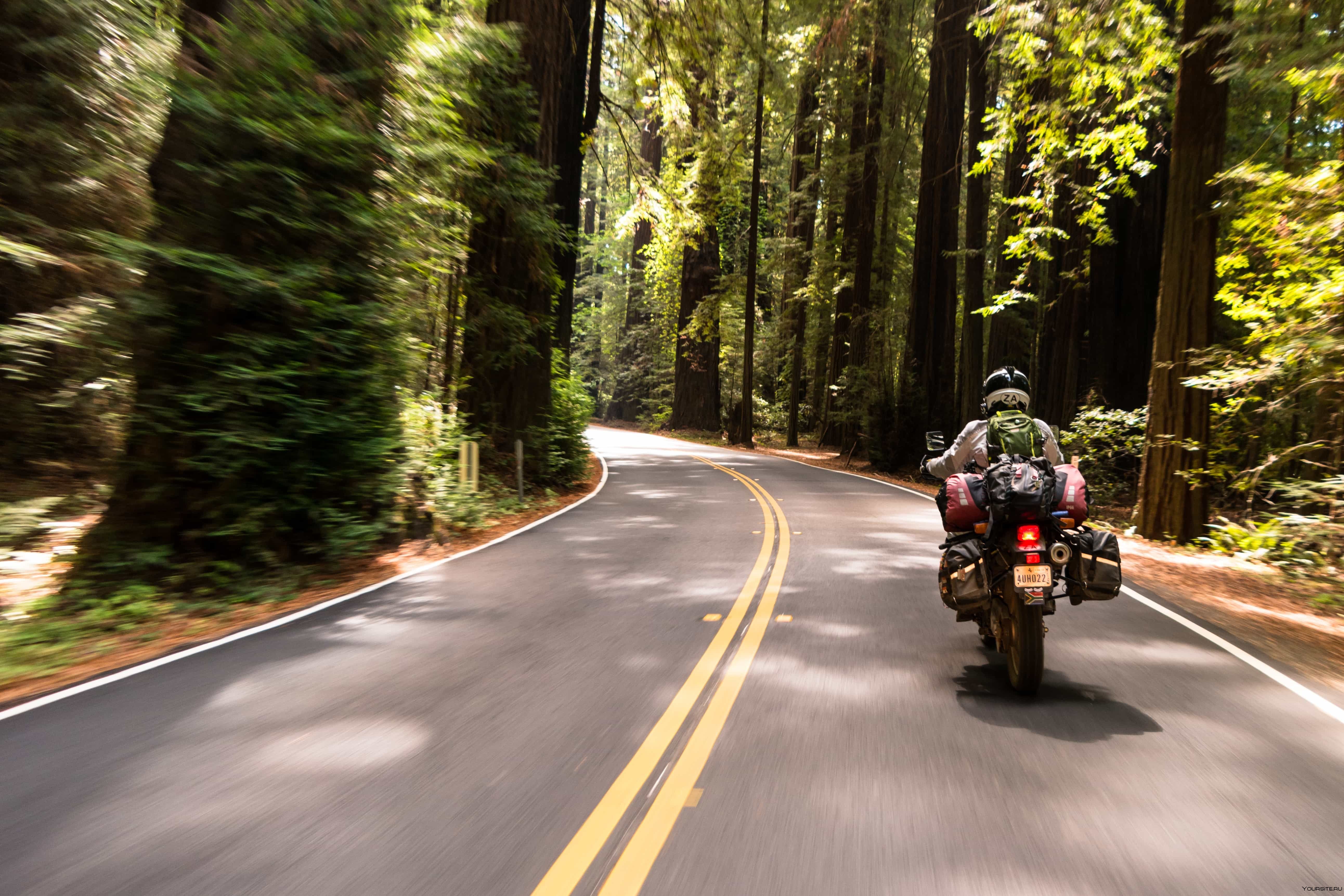 Мотоцикл на Лесной дороге