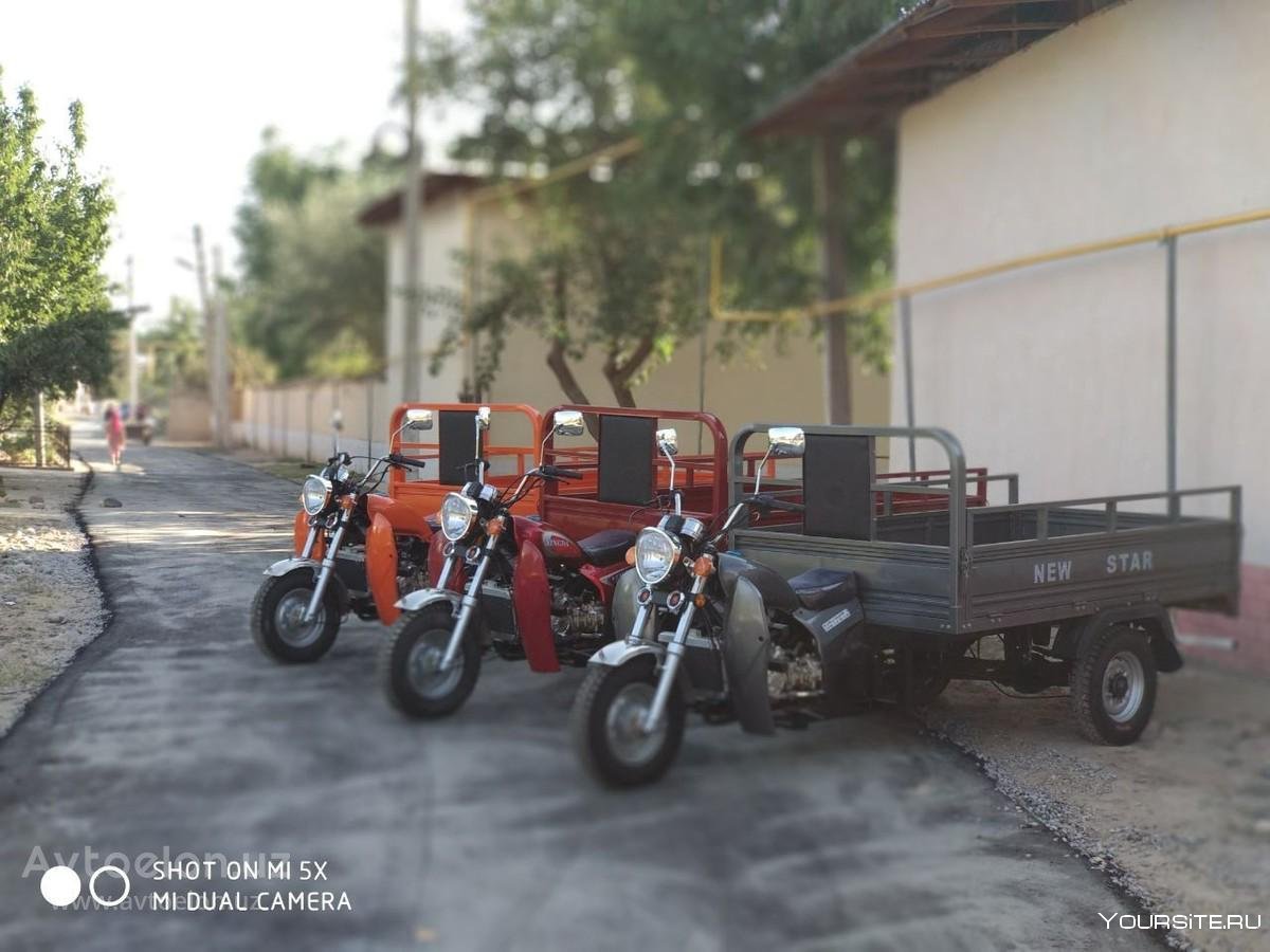 Безопасность дорожного движения в Ташкенте