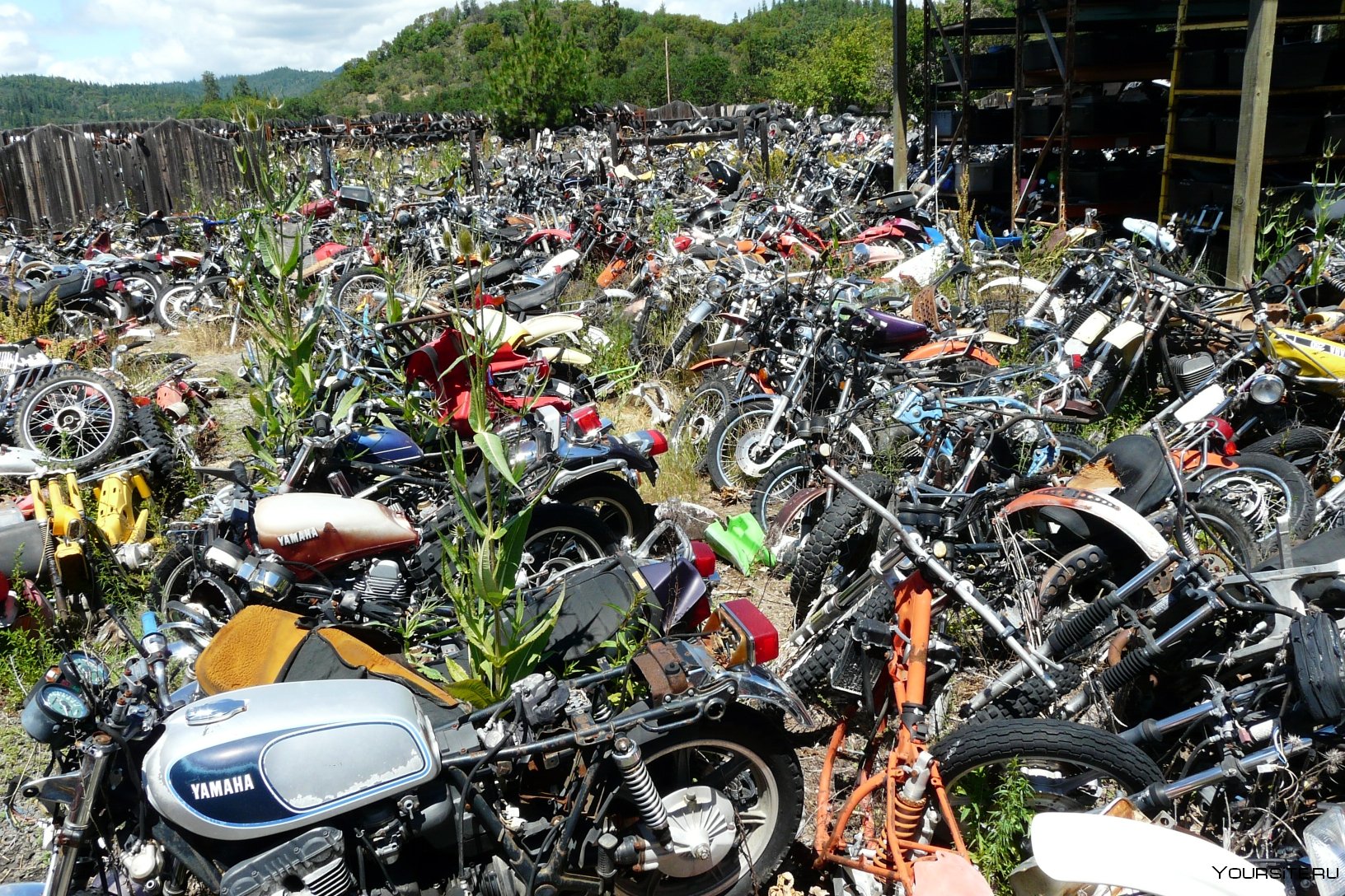 Скутер япония владивосток. Зелёный угол Владивосток мотоциклы. Владивосток рынок зеленый угол мотоциклы. Мото рынок. Свалка мопедов в Японии.
