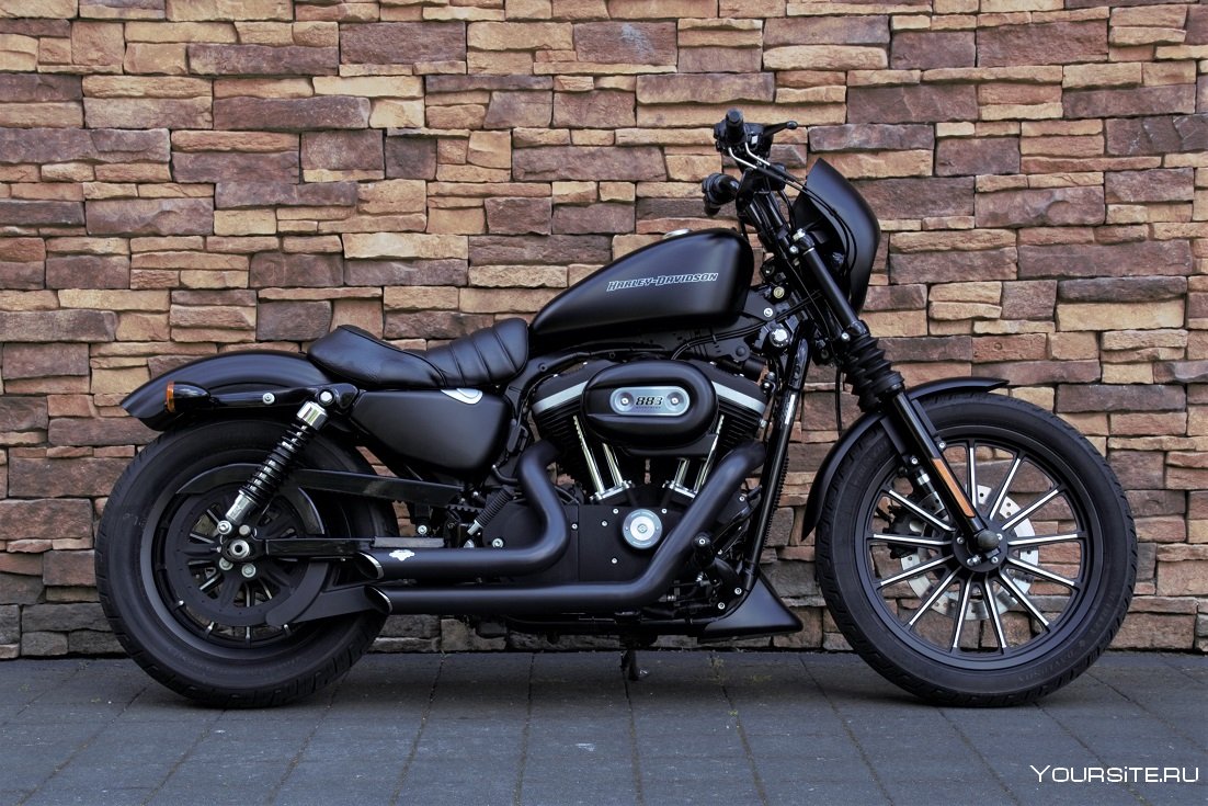 Harley Davidson Sportster 883 Iron