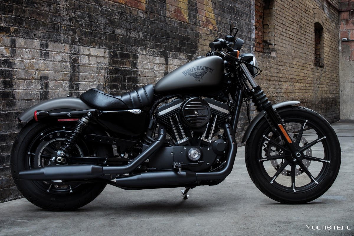 Harley Davidson Sportster 1200 Custom