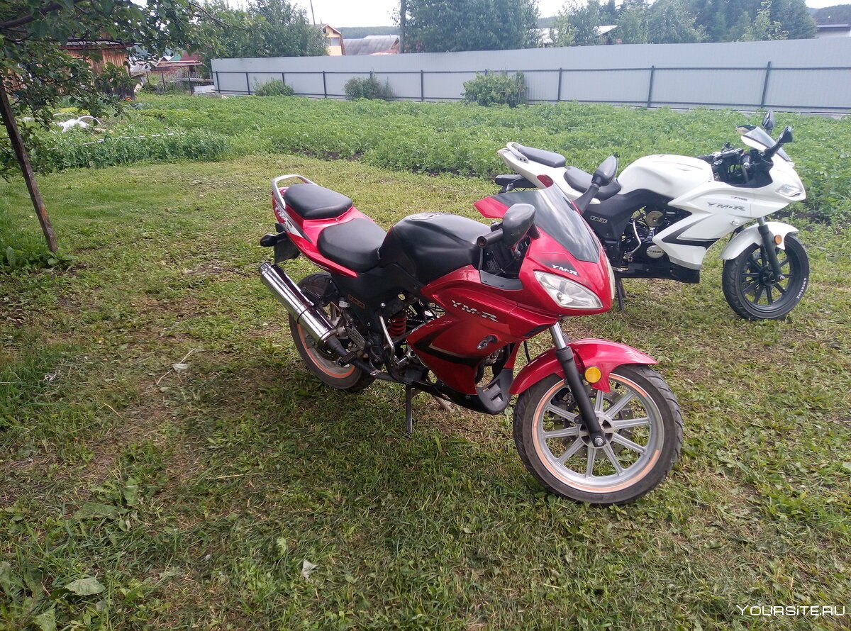 Yamasaki zx6rym508