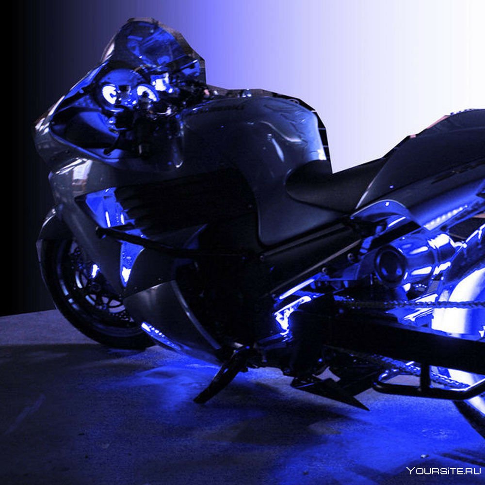 Панда на мотоцикле с неоновой подсветкой
