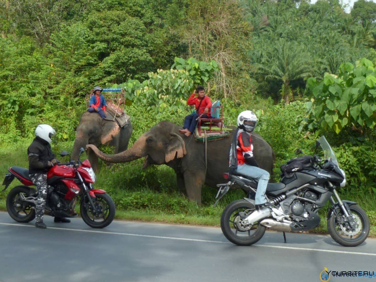 Мотоциклы в Тайланде