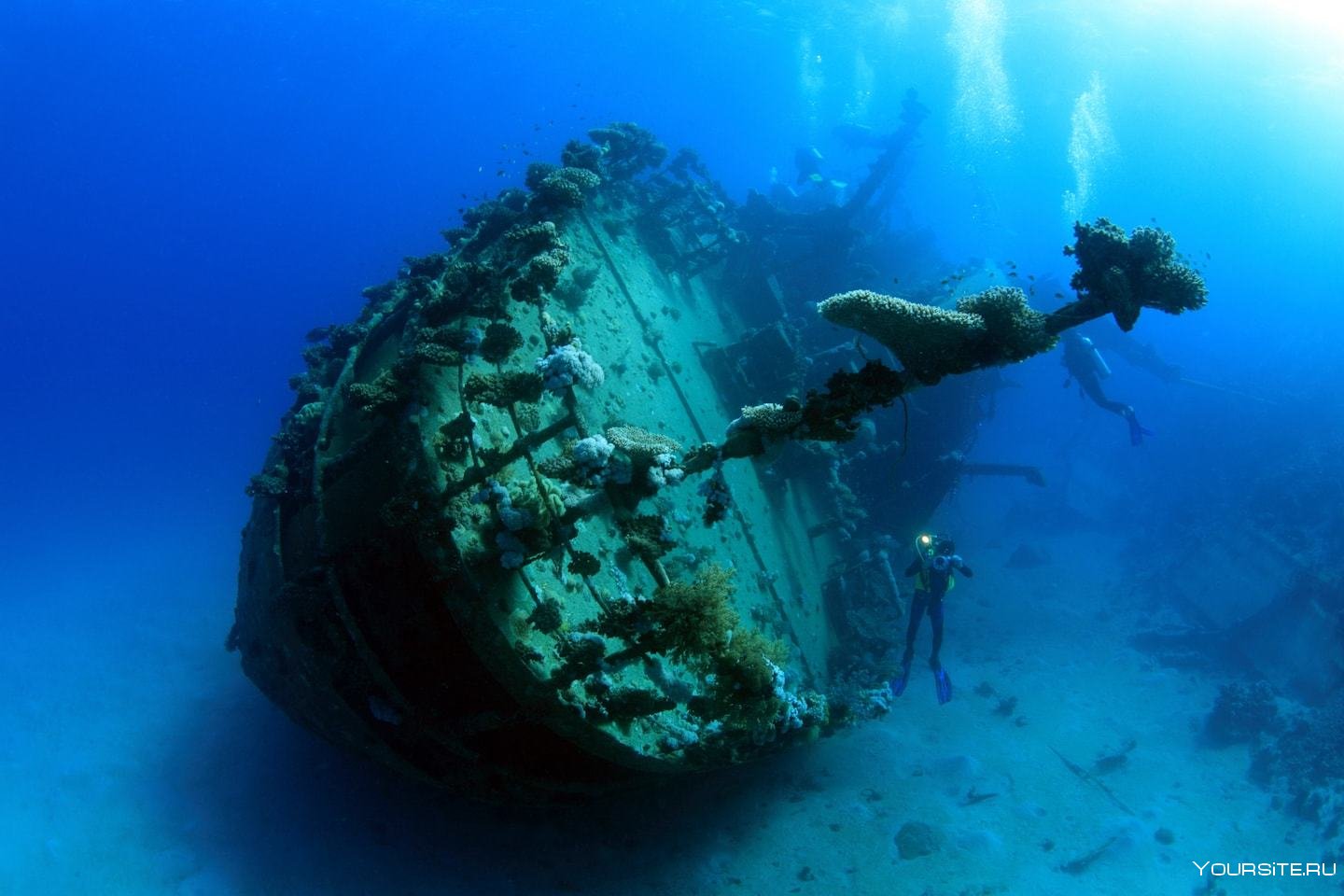 Путешествие на дне океана. Корабль Giannis d, красное море. Саргассово море дайвинг. Затонувший корабль Монте Сервантес. Затонувший корабль Шарм-Эль-Шейх.