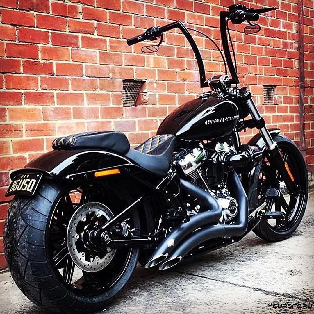 Harley Davidson 1300