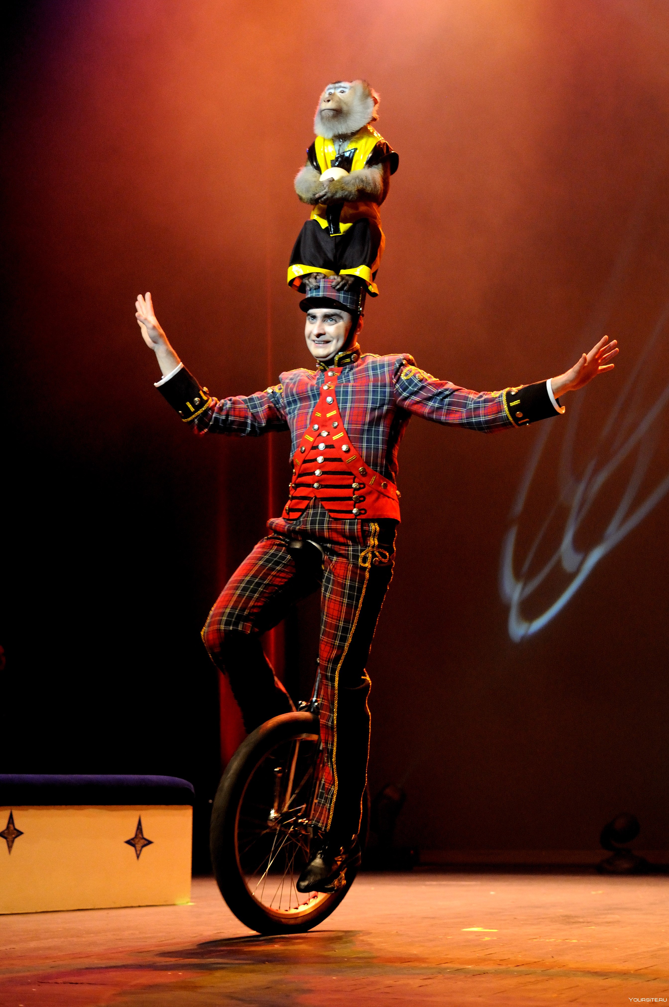 Клоуны акробаты. Клоун эквилибрист. Цирковой велосипед. Клоун в цирке. Цирковой одноколесный велосипед.
