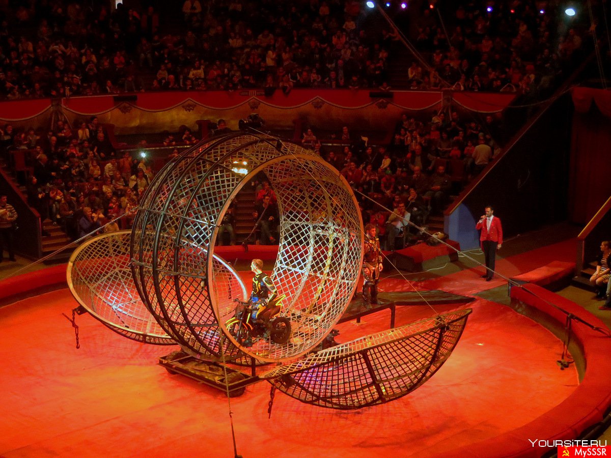 Арена цирка СССР