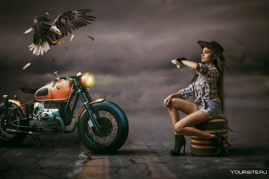 Птица на мотоцикле