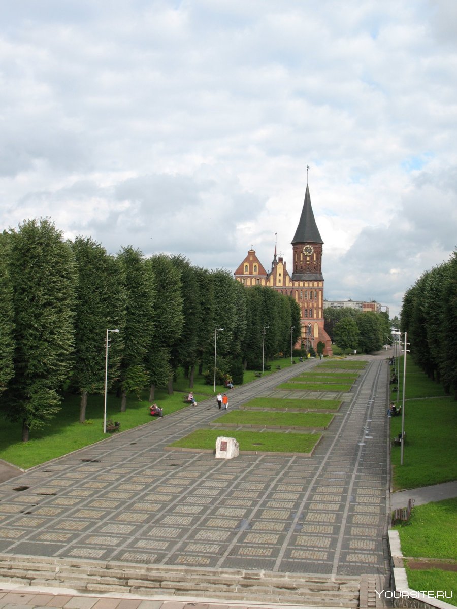 Калининград лето кафедральный собор