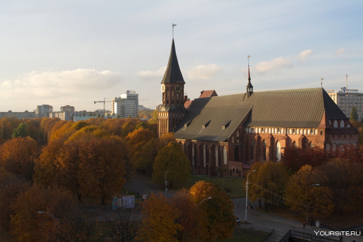 Кафедральный собор Калининград сверху