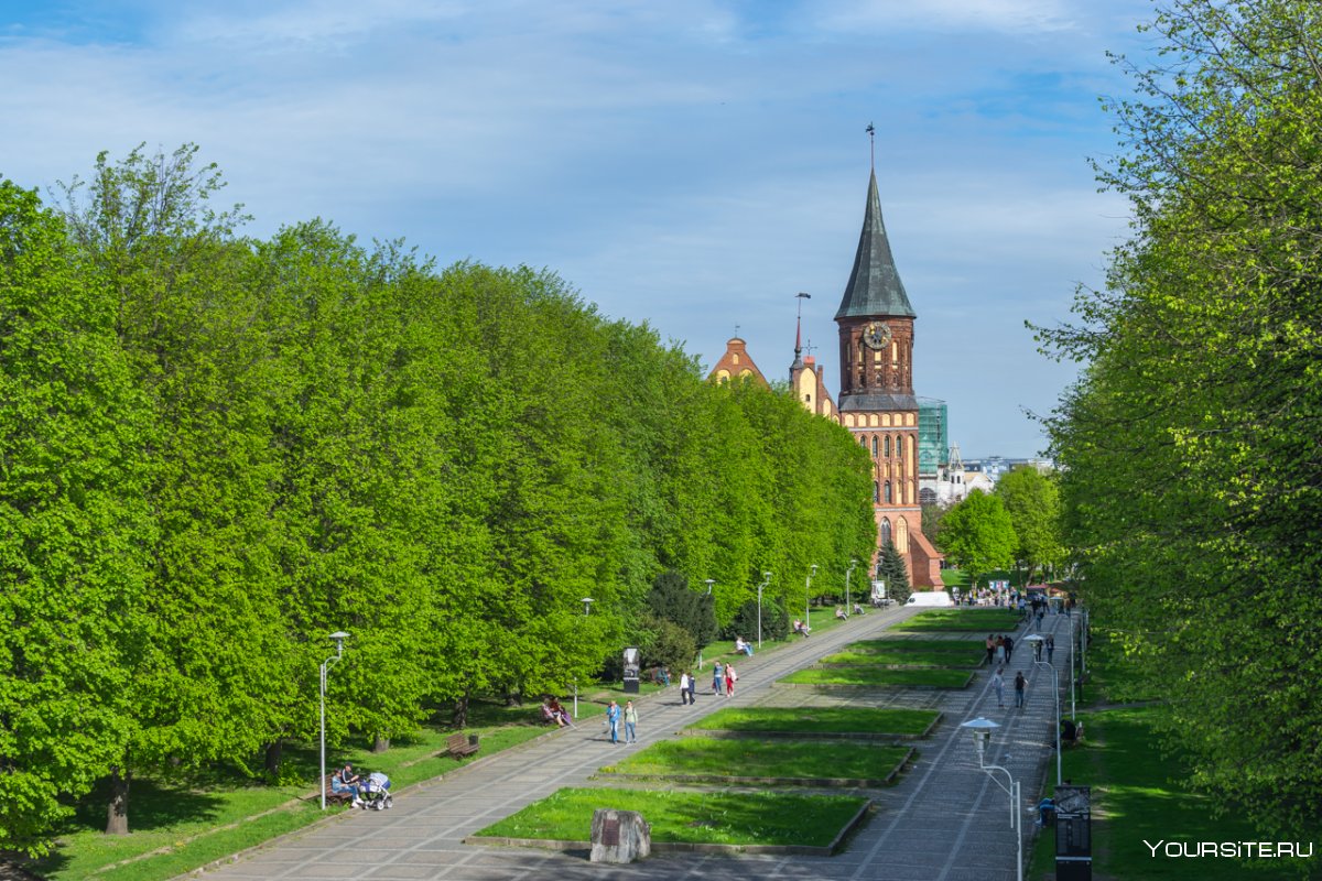 Калининград кафедральный собор парк