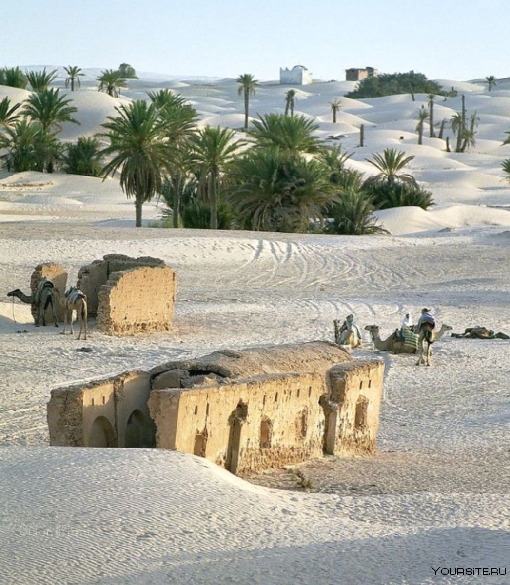 Карфаген Тунис амфитеатр