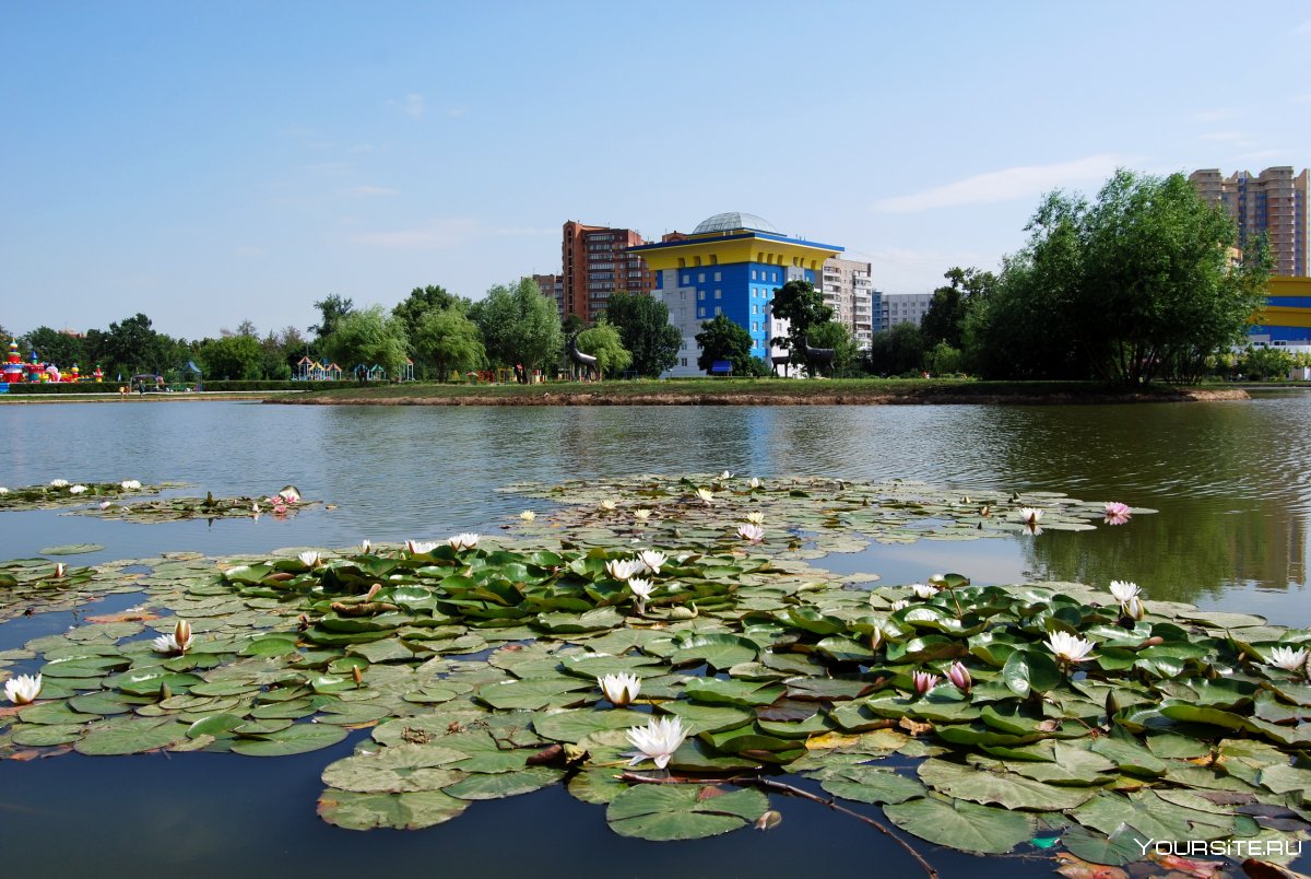 Парк с прудом Одинцово