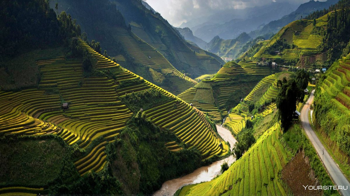 Рисовые поля Вьетнама му Кан чай