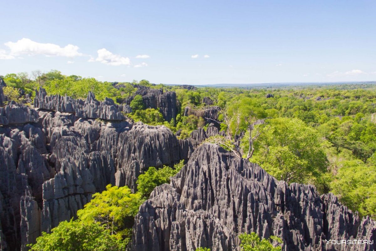 Ландшафты Мадагаскара