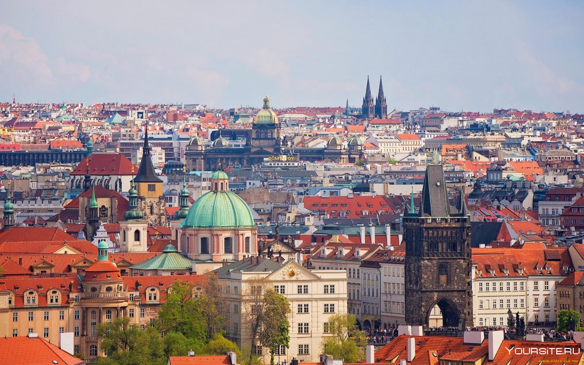 Цвет Прага