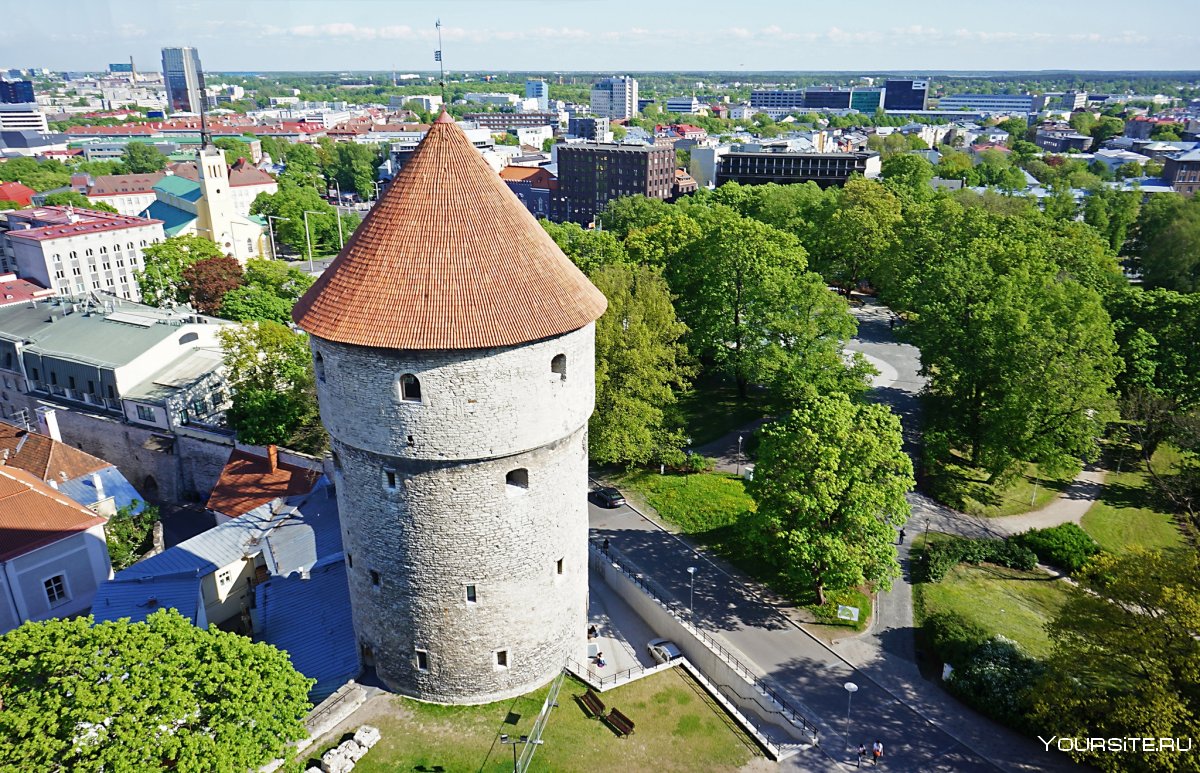 Эстония Таллинн достопримечательности