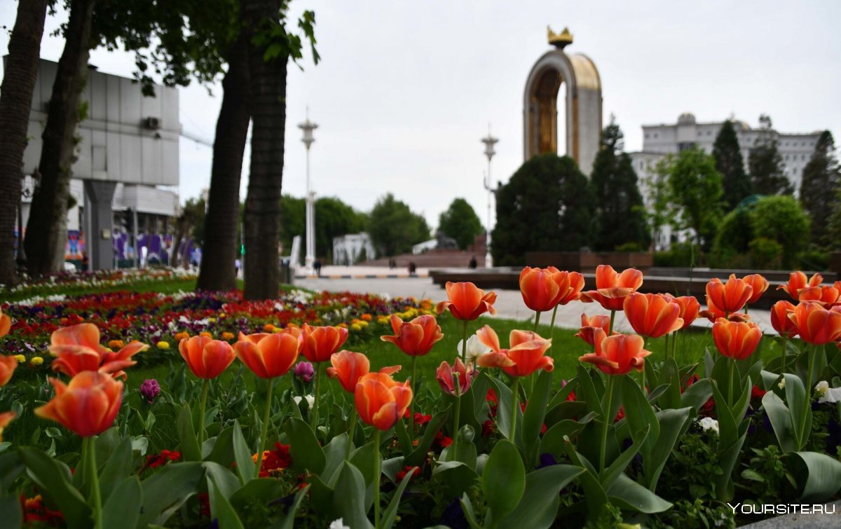 Город сад Душанбе