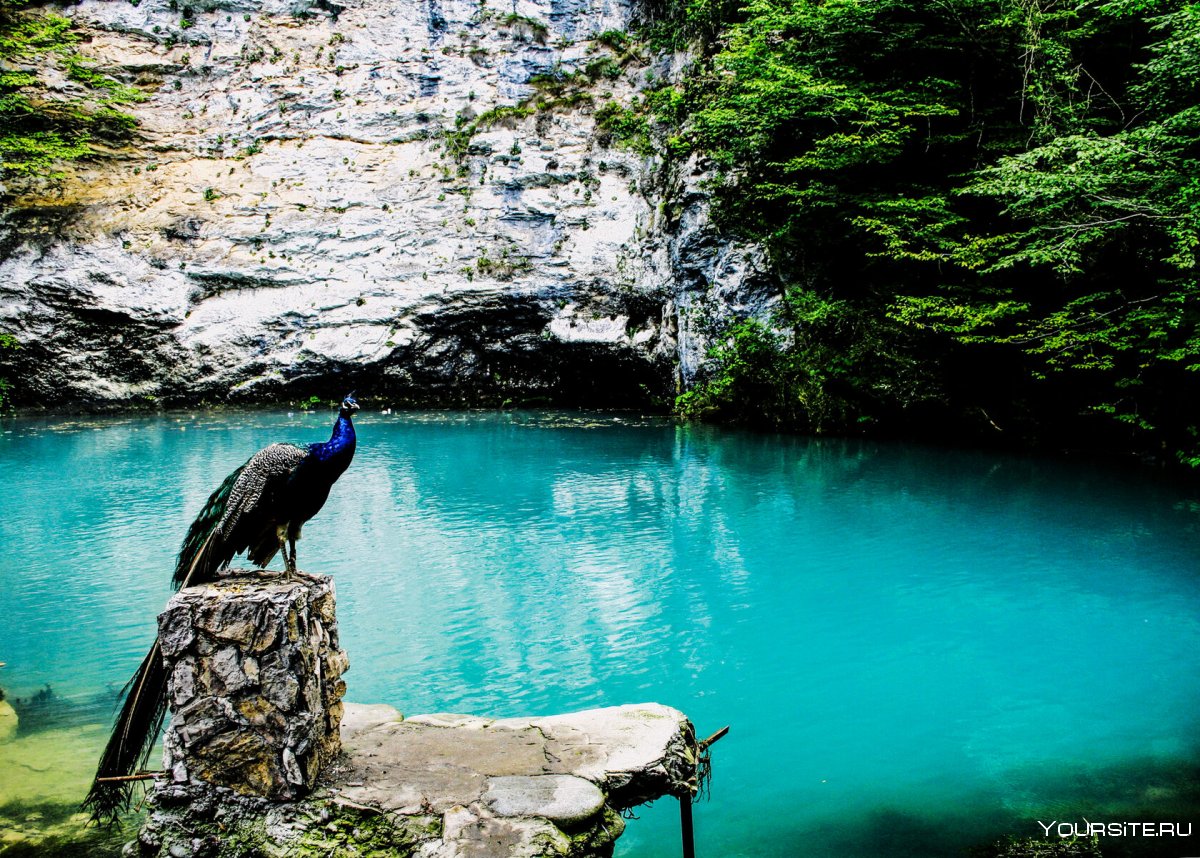 Голубое озеро Абхазия глубина