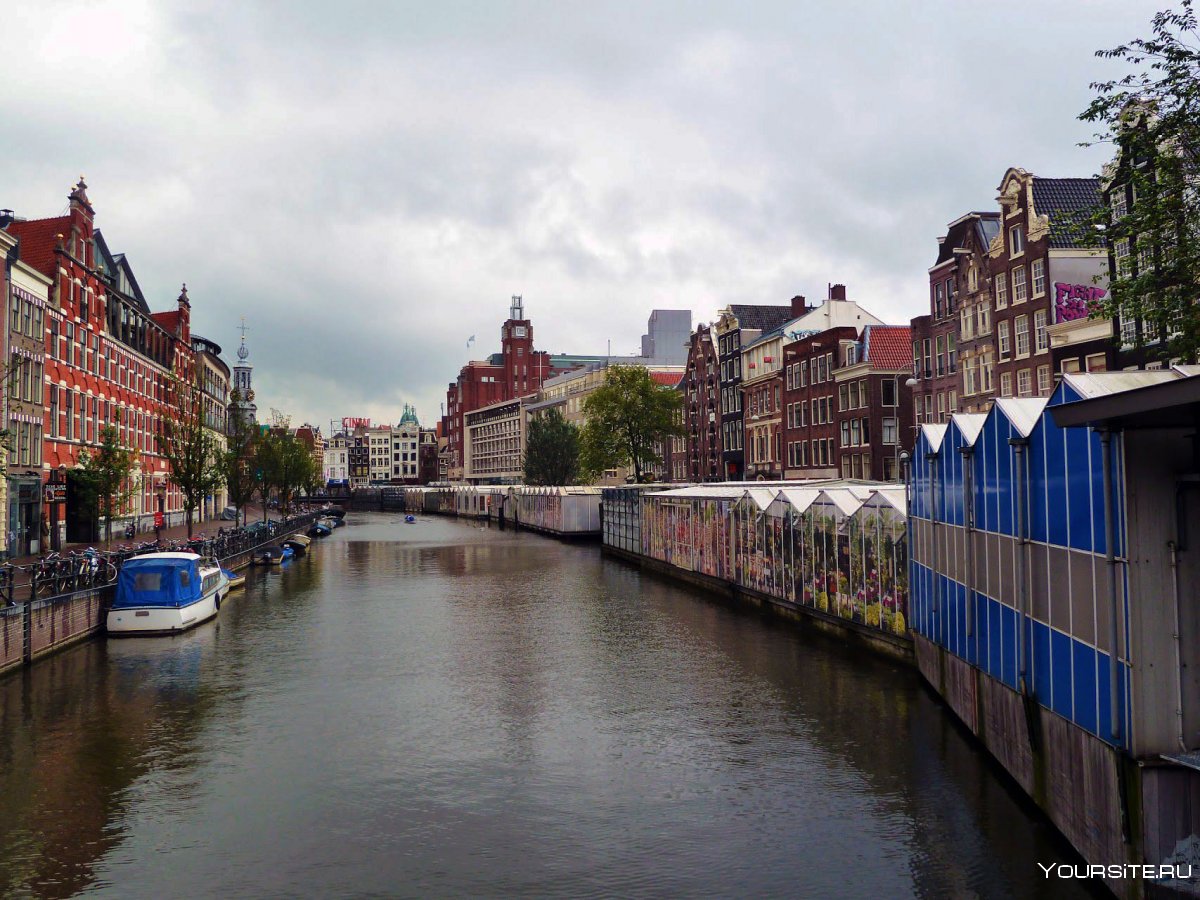 Плавучий рынок Амстердам